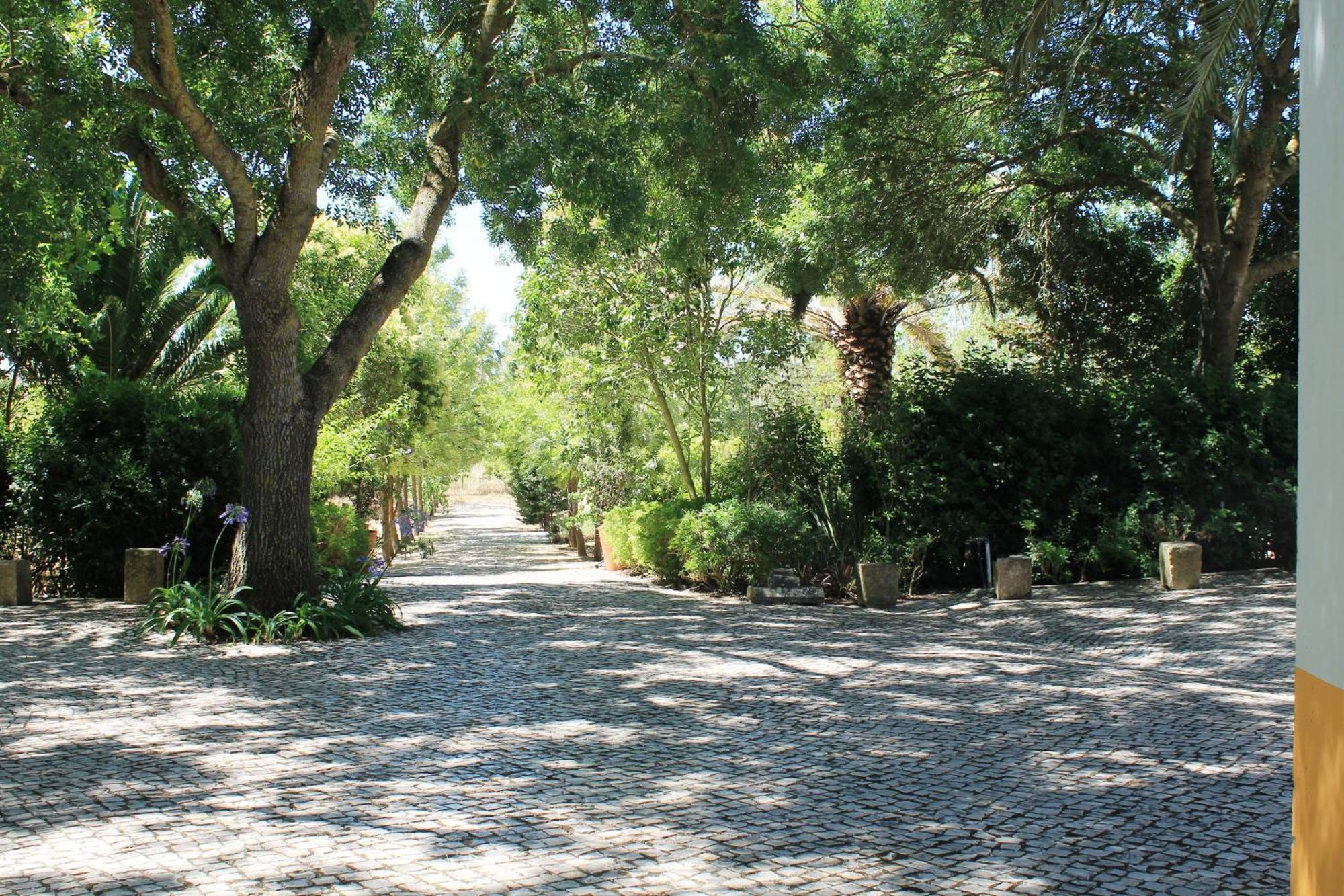 Villa Quinta Do Casal De Santo Antonio à Alenquer Extérieur photo